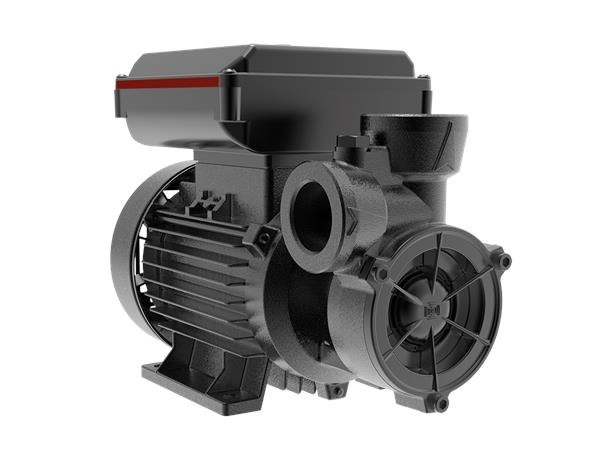 Поверхностный насос Grundfos PF 2-50