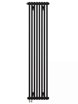Радиатор трубчатый Zehnder Charleston Completto модель 2180 8 секций (Черный матовый)